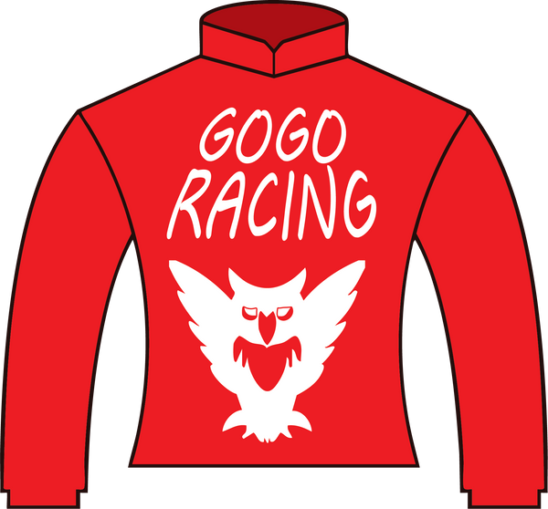 GO GO RACING